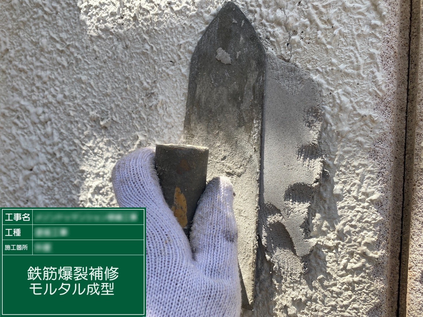 ⑤モルタル成型